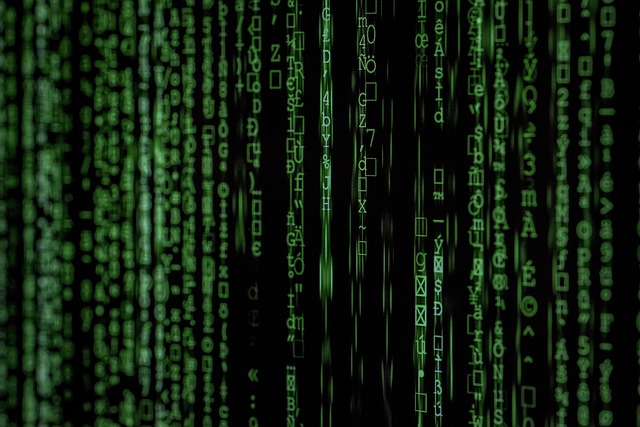 cyber security services