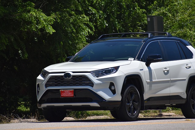 rav4 plug in hybrid