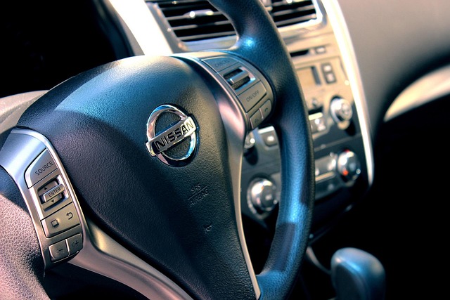 nissan leaf ev