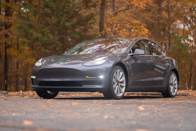 tesla model y for sale