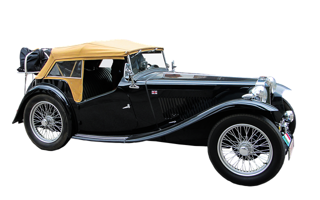 mg ev