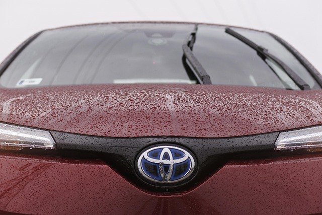 toyota prius plug in hybrid