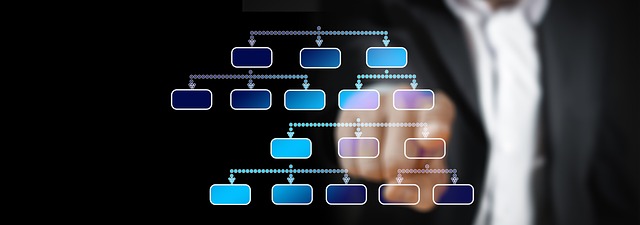 business information and technology