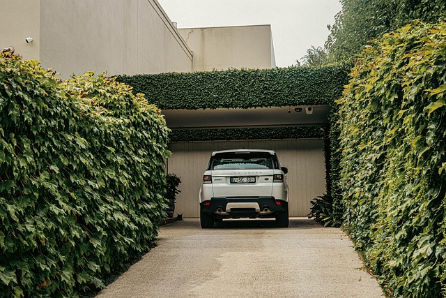 ev suv