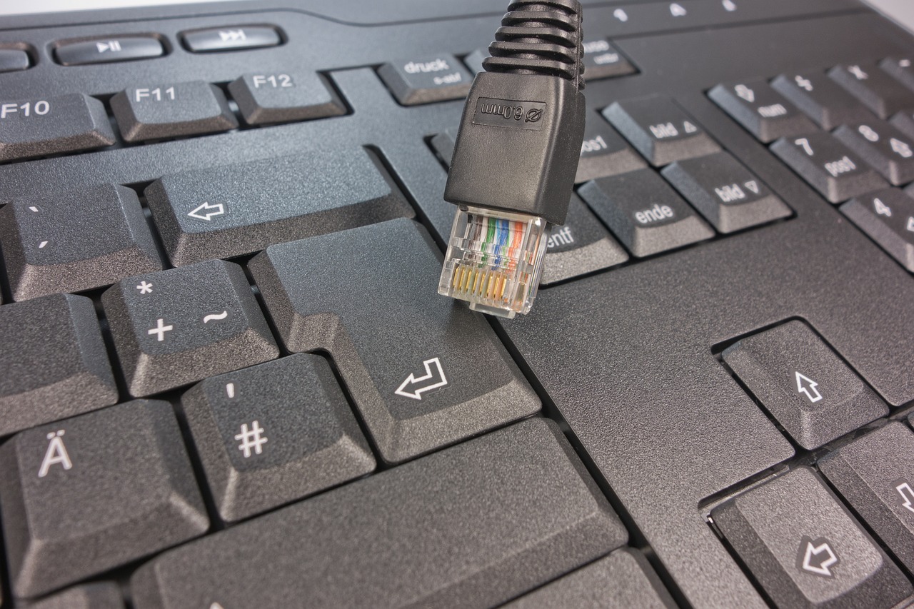network, network cable, keyboard, computer, keys, input device, periphery, letters, hardware, input, computer keyboard, pc, cable, patch cord, rj-45, plug, space bar, edp, data processing, connection, dsl, management, cost
