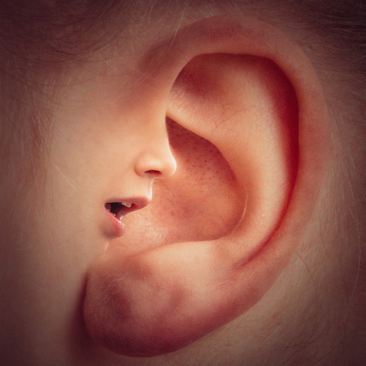 ear, mouth, nose, face, head, voices, talk, whisper, secret, ear, ear, ear, ear, ear, talk, whisper, secret