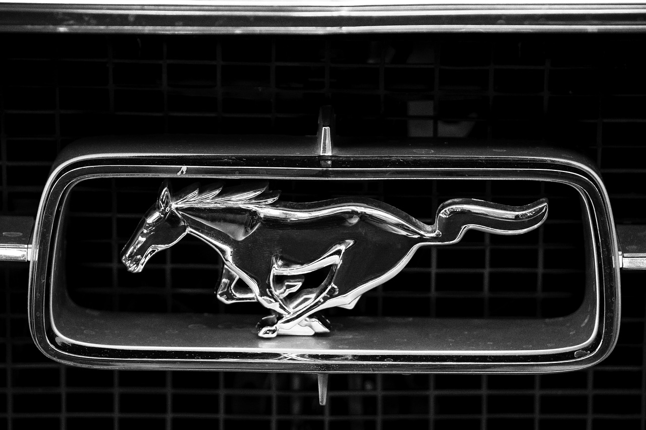 ford mustang, ford, automobile, logo, horse, vehicle, pony, antique car, nature, mustang, american, race car, silver, emblem