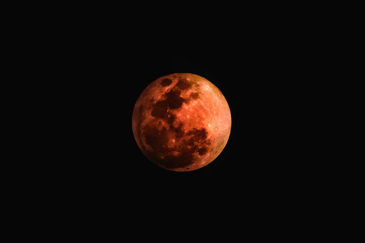 moon, astronomy, luna, night sky, nature, lunar, eclipse, crescent, full moon, telescope, dark, astrology, sky, planet, space, red, super moon, blue moon, red moon, universe, night, full, moonlight, bright, earth, solar, light, blue, star, galaxy, atmosphere, blue sky, orbit, shine, fantasy, starlight, stars, starry, sparkle, glow, black sky, black earth, black moon, black fantasy, black stars, black galaxy, black night, black universe, black dark, black blood, black planet, black lights