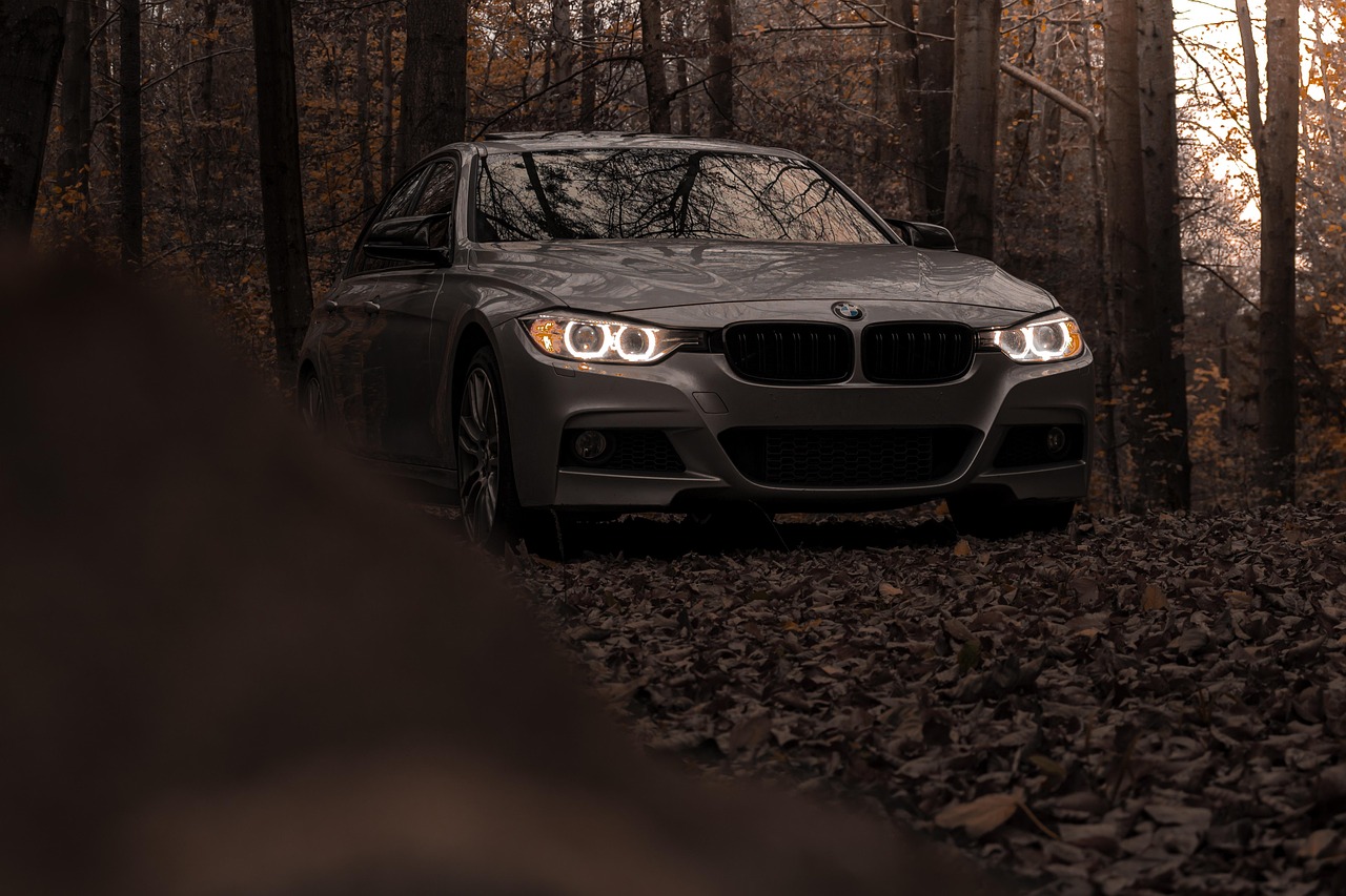 bmw, car wallpapers, car, nature, autumn