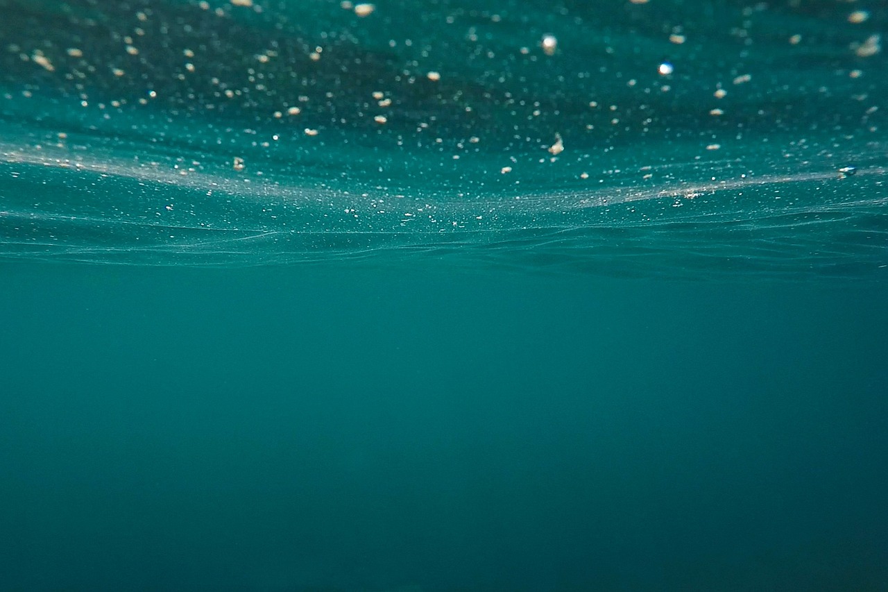ocean, sea, submerged, underwater, water, sea water, nature, blue water