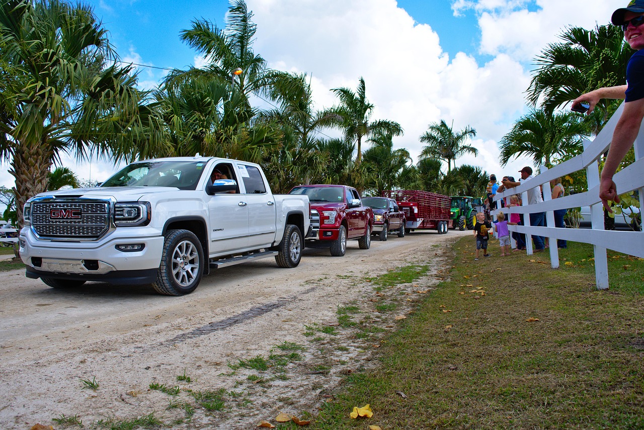 truck, gmc, parade, pickup, transport, vehicle, automobile, white, 4x4, clean, luxury, anniversary, spanish lookout, belize, gmc, gmc, gmc, gmc, gmc, pickup, belize