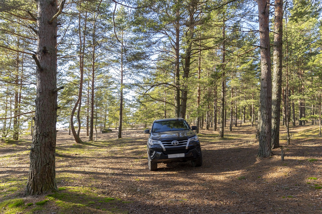 gulf of finland, st petersburg, russia, beach, beauty, march, nature, landscape, sand, horizon, love, together, warmly, pair, embrace, boy, man, young woman, youth, young, erotica, car wallpapers, machine, car, toyota fortuner, toyota